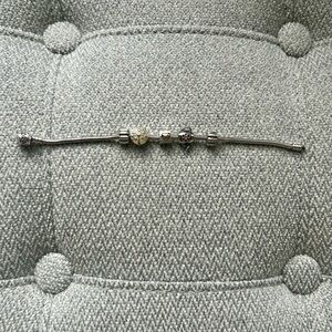 Pandora Bracelet with 2 clips and 3 charms